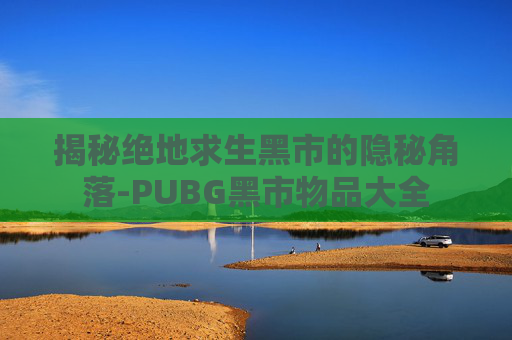 揭秘绝地求生黑市的隐秘角落-PUBG黑市物品大全