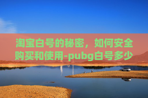 淘宝白号的秘密，如何安全购买和使用-pubg白号多少钱