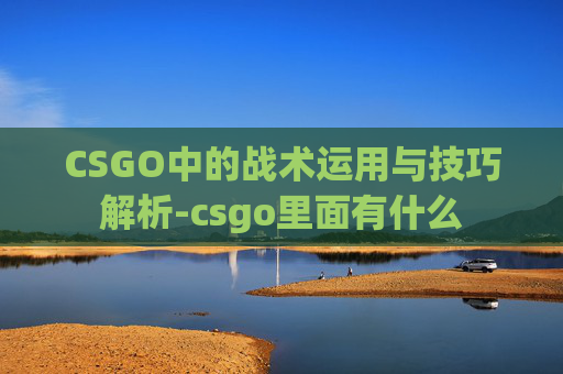 CSGO中的战术运用与技巧解析-csgo里面有什么