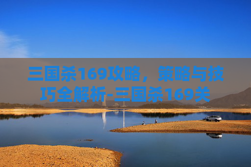 三国杀169攻略,策略与技巧全解析-三国杀169关 三国杀169攻略,策略与技巧全解析-三国杀169关