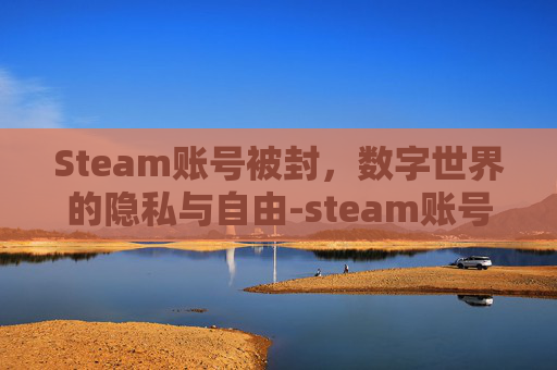 Steam账号被封，数字世界的隐私与自由-steam账号都封了怎么找回来