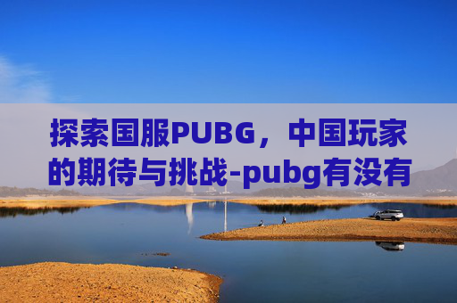 探索国服PUBG,中国玩家的期待与挑战-pubg有没有国服 探索国服PUBG,中国玩家的期待与挑战-pubg有没有国服