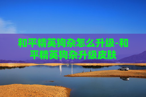 和平精英狗杂怎么升级-和平精英狗杂升级皮肤