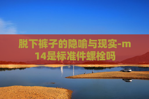 脱下裤子的隐喻与现实-m14是标准件螺栓吗