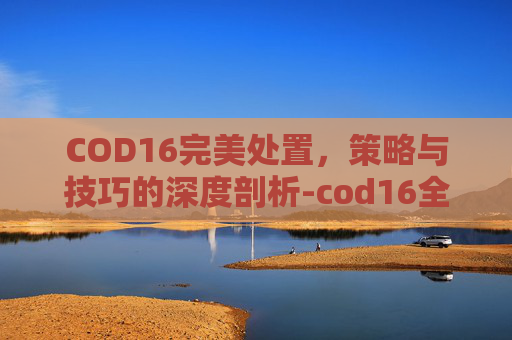 COD16完美处置，策略与技巧的深度剖析-cod16全解