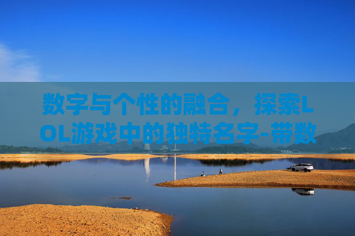 数字与个性的融合，探索LOL游戏中的独特名字-带数字的lol名字男
