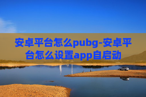 安卓平台怎么pubg-安卓平台怎么设置app自启动