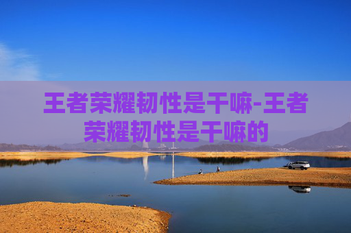 王者荣耀韧性是干嘛-王者荣耀韧性是干嘛的 王者荣耀韧性是干嘛-王者荣耀韧性是干嘛的