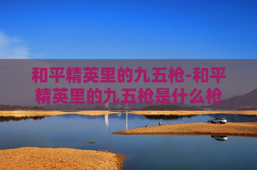 和平精英里的九五枪-和平精英里的九五枪是什么枪