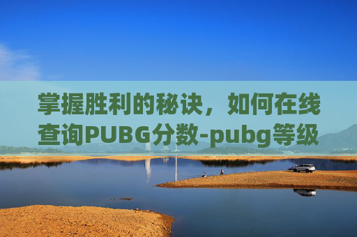 掌握胜利的秘诀,如何在线查询PUBG分数-pubg等级查询入口 掌握胜利的秘诀,如何在线查询PUBG分数-pubg等级查询入口