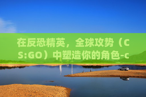 在反恐精英,全球攻势(CS:GO)中塑造你的角色-csgo游戏人物 在反恐精英,全球攻势(CS:GO)中塑造你的角色-csgo游戏人物