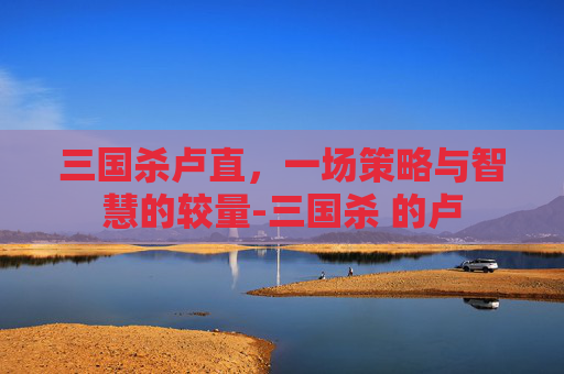三国杀卢直,一场策略与智慧的较量-三国杀 的卢 三国杀卢直,一场策略与智慧的较量-三国杀 的卢