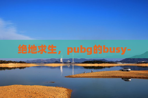 绝地求生,pubg的busy- 绝地求生,pubg的busy-