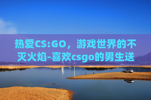 热爱CS:GO,游戏世界的不灭火焰-喜欢csgo的男生送什么礼物 热爱CS:GO,游戏世界的不灭火焰-喜欢csgo的男生送什么礼物