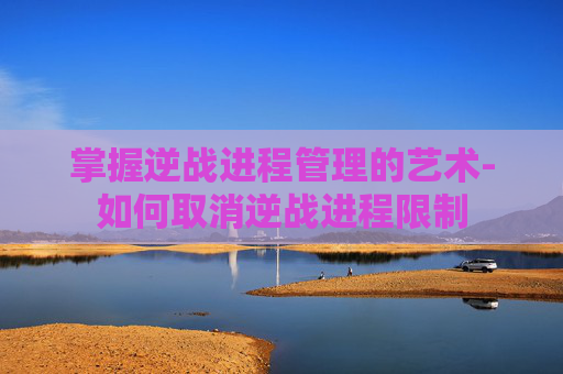 掌握逆战进程管理的艺术-如何取消逆战进程限制 掌握逆战进程管理的艺术-如何取消逆战进程限制