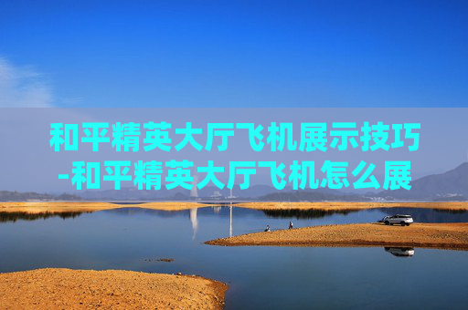和平精英大厅飞机展示技巧-和平精英大厅飞机怎么展示出来