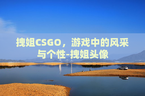 拽姐CSGO,游戏中的风采与个性-拽姐头像 拽姐CSGO,游戏中的风采与个性-拽姐头像