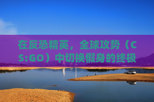 在反恐精英,全球攻势(CS:GO)中切换假身的终极指南-csgo假身怎么调 在反恐精英,全球攻势(CS:GO)中切换假身的终极指南-csgo假身怎么调