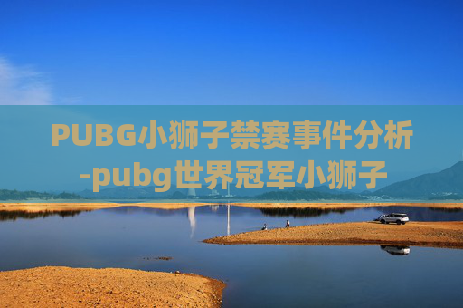 PUBG小狮子禁赛事件分析-pubg世界冠军小狮子