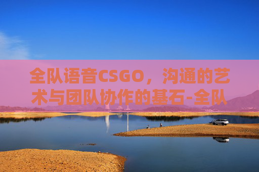 全队语音CSGO,沟通的艺术与团队协作的基石-全队语音和组队语音的区别 全队语音CSGO,沟通的艺术与团队协作的基石-全队语音和组队语音的区别