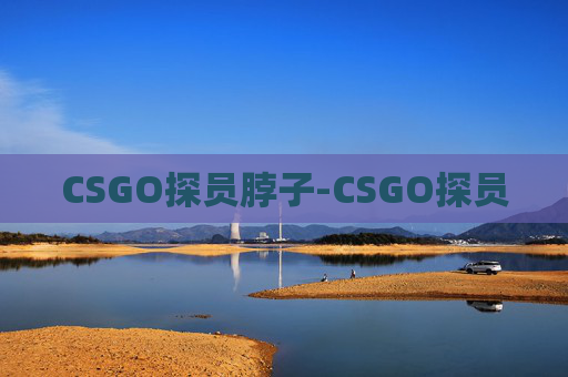 CSGO探员脖子-CSGO探员 CSGO探员脖子-CSGO探员