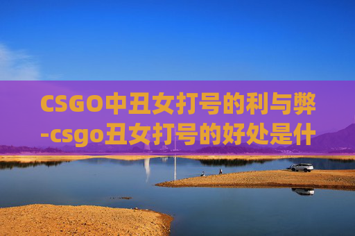 CSGO中丑女打号的利与弊-csgo丑女打号的好处是什么 CSGO中丑女打号的利与弊-csgo丑女打号的好处是什么