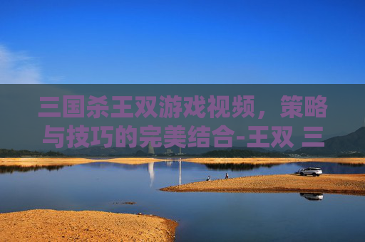 三国杀王双游戏视频,策略与技巧的完美结合-王双 三国杀 三国杀王双游戏视频,策略与技巧的完美结合-王双 三国杀