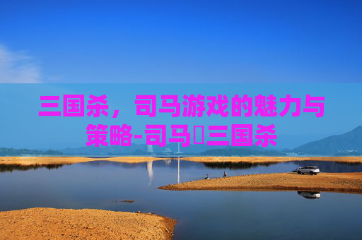 三国杀,司马游戏的魅力与策略-司马冏三国杀 三国杀,司马游戏的魅力与策略-司马冏三国杀