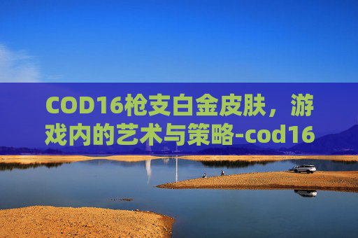 COD16枪支白金皮肤,游戏内的艺术与策略-cod16白金皮肤解锁条件 COD16枪支白金皮肤,游戏内的艺术与策略-cod16白金皮肤解锁条件