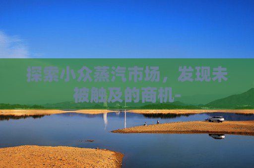 探索小众蒸汽市场,发现未被触及的商机- 探索小众蒸汽市场,发现未被触及的商机-
