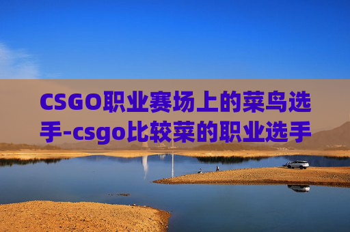 CSGO职业赛场上的菜鸟选手-csgo比较菜的职业选手有哪些