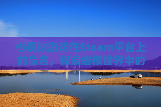 橄榄球游戏在Steam平台上的命名,探索虚拟世界中的绿茵战场-橄榄球的游戏叫什么steam 橄榄球游戏在Steam平台上的命名,探索虚拟世界中的绿茵战场-橄榄球的游戏叫什么steam