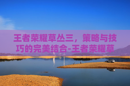 王者荣耀草丛三，策略与技巧的完美结合-王者荣耀草丛三姐妹是哪三个