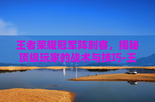 王者荣耀冠军阵刺客,揭秘顶级玩家的战术与技巧-王者荣耀冠军阵刺客怎么玩 王者荣耀冠军阵刺客,揭秘顶级玩家的战术与技巧-王者荣耀冠军阵刺客怎么玩