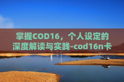 掌握COD16,个人设定的深度解读与实践-cod16n卡设置 掌握COD16,个人设定的深度解读与实践-cod16n卡设置