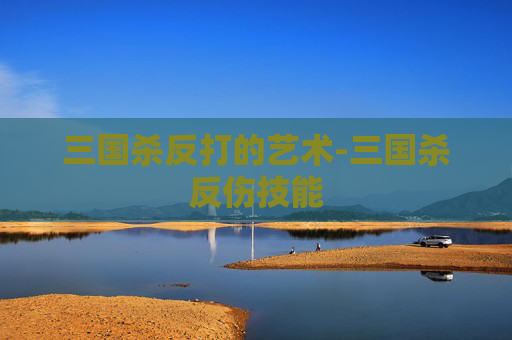 三国杀反打的艺术-三国杀反伤技能 三国杀反打的艺术-三国杀反伤技能
