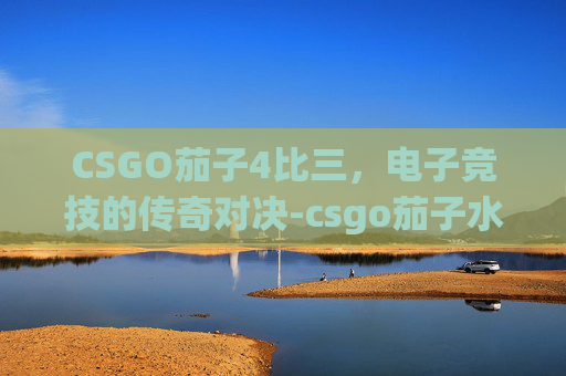 CSGO茄子4比三,电子竞技的传奇对决-csgo茄子水平 CSGO茄子4比三,电子竞技的传奇对决-csgo茄子水平