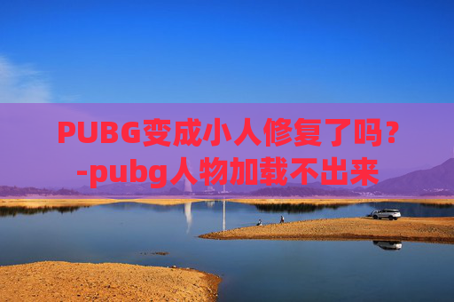 PUBG变成小人修复了吗？-pubg人物加载不出来