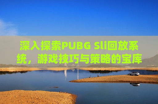 深入探索PUBG Sli回放系统，游戏技巧与策略的宝库-PUBG回放