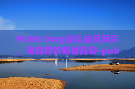 PUBG Dwg战队成员风采,电竞界的明星阵容-pubg wbg战队 PUBG Dwg战队成员风采,电竞界的明星阵容-pubg wbg战队