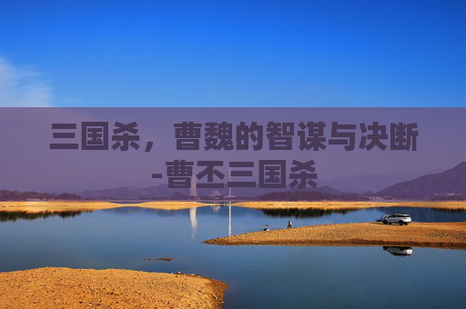 三国杀,曹魏的智谋与决断-曹丕三国杀 三国杀,曹魏的智谋与决断-曹丕三国杀
