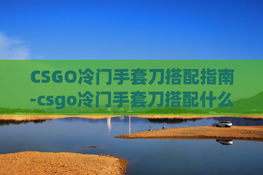 CSGO冷门手套刀搭配指南-csgo冷门手套刀搭配什么 CSGO冷门手套刀搭配指南-csgo冷门手套刀搭配什么