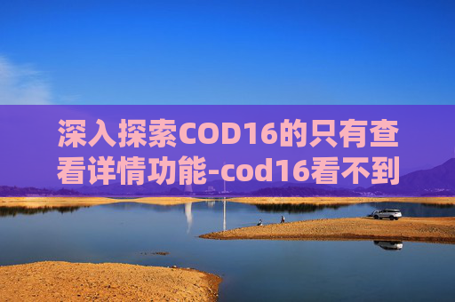 深入探索COD16的只有查看详情功能-cod16看不到图标 深入探索COD16的只有查看详情功能-cod16看不到图标