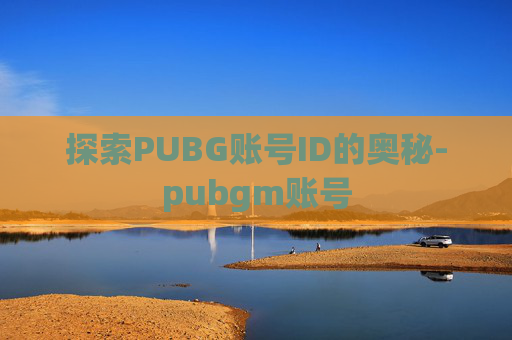 探索PUBG账号ID的奥秘-pubgm账号