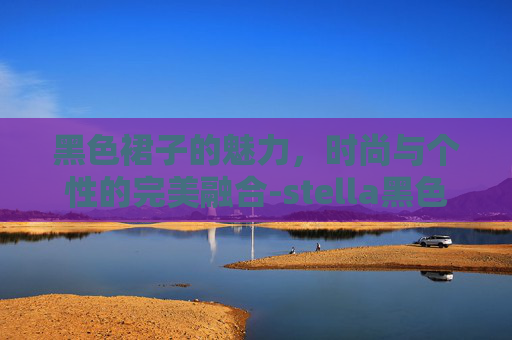 黑色裙子的魅力，时尚与个性的完美融合-stella黑色裙子