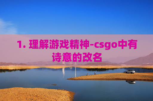 1. 理解游戏精神-csgo中有诗意的改名 1. 理解游戏精神-csgo中有诗意的改名