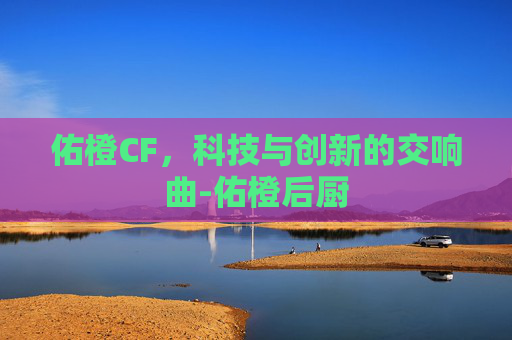 佑橙CF，科技与创新的交响曲-佑橙后厨