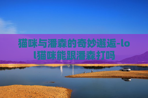 猫咪与潘森的奇妙邂逅-lol猫咪能跟潘森打吗
