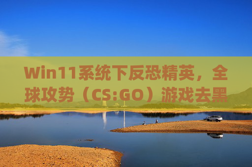 Win11系统下反恐精英，全球攻势（CS:GO）游戏去黑边技巧-win11csgo全屏4比3去黑边