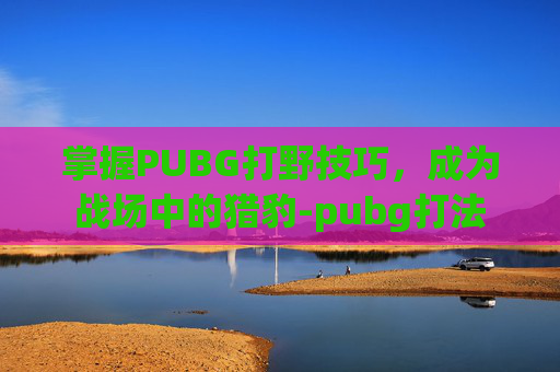 掌握PUBG打野技巧，成为战场中的猎豹-pubg打法